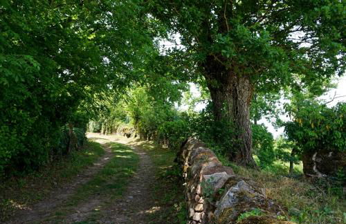 Le Clos Bellevue Appartement T3 parking + piscine - Photo 5