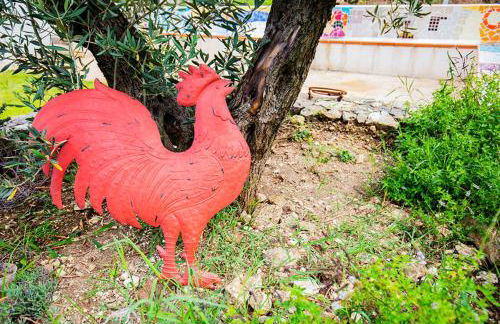 Gallo Fino - Foto 41