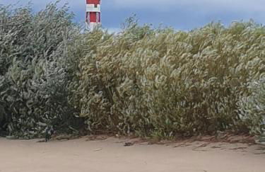 likehome apartments - Foto 9