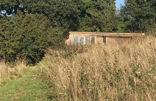 FoxesDen, Unique Eco Cabin, Dartmoor views - Foto 43