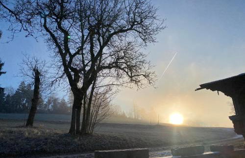 Berg-Panorama-Ferienwohnungen Gut-Lichtenau - Foto 46