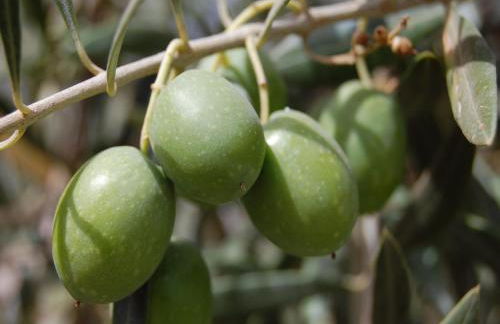 A beautiful 2 persons studio in a chateau with swimming pool - Foto 28