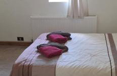 Hale Oaks Farm - Foto 5