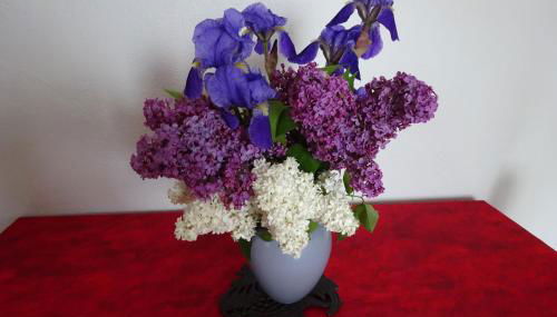 L'aligier - Les gites de Pierregras - Photo 5