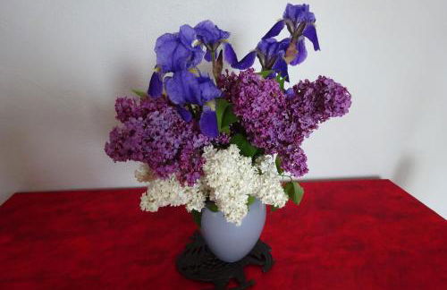 L'aligier - Les gites de Pierregras - Foto 5