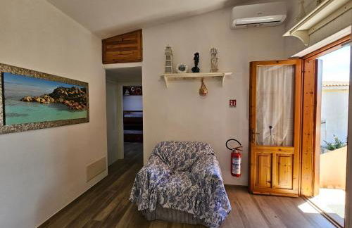 La flabellina blu - Foto 44