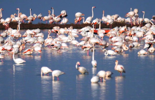 Resort in Lido di Spina Near Adriatic Coast - Foto 37