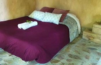 Associação Quinta das Relvas - Foto 92