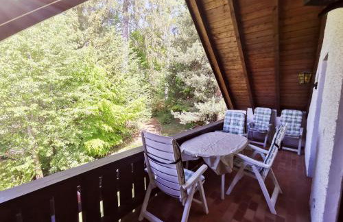 Ferienwohnungen Kremser bei Spiegelau Eppenschlag - Foto 41