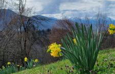 Gîte de montagne - Foto 6