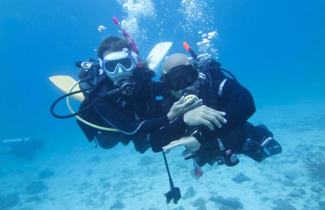 Corso di immersione PADI Open Water - Foto 6