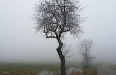 Romantische Zeitreise in historischer Käserei - Foto 11