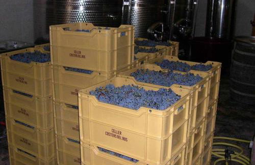 Ca l'Aixut Turismo Rural - Foto 42