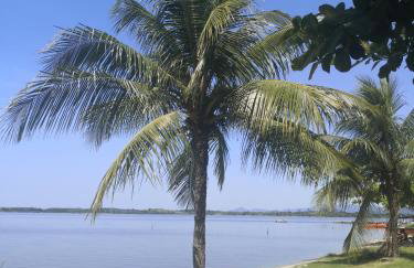 Flat Gorlaes - Foto 62