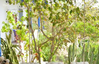 Gemilos Nook - Foto 49