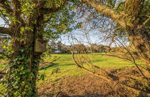 Timber Hill Self Catering Cedar Lodges - Foto 43