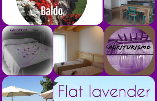 Agriturismo Fattoria Monte Baldo VISTA LAGO - Foto 44