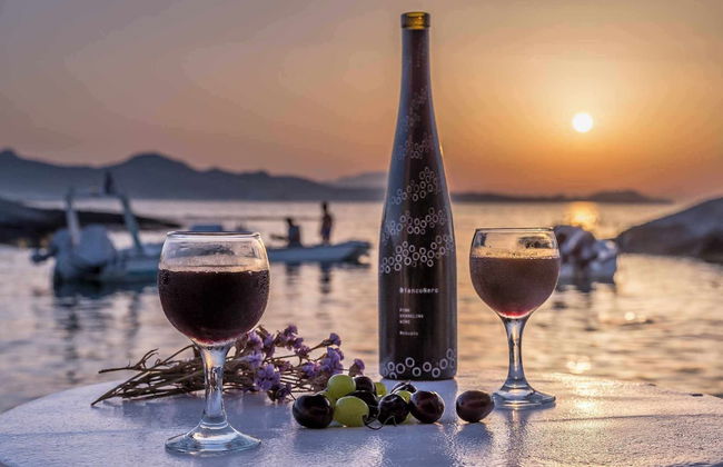 FANI DREAM SUITE By Vilos Suites - Foto 5