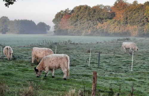 24 Camping Pod - Foto 15