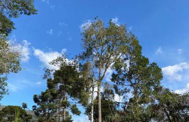 Cabana Vale Matutu - Foto 26