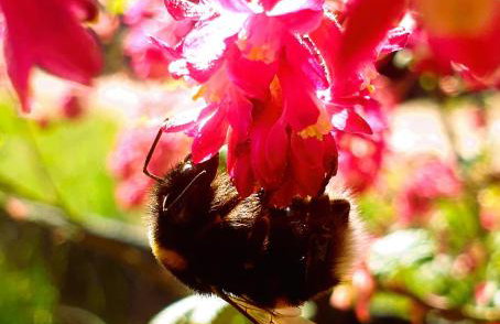 Siedlisko pod Aniołem - Foto 17