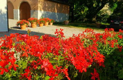 Punta dei Lecci - Foto 19