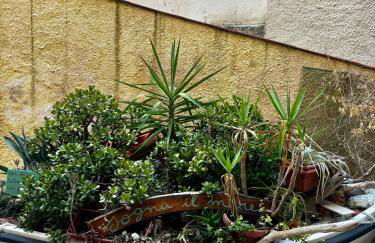 Casa di Marghy - Foto 8