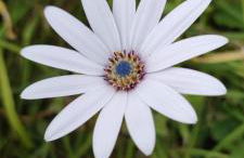 CHARMANT APPARTEMENT 3 étoiles classé BORD DE MER Travel Award 2026 - Photo 35