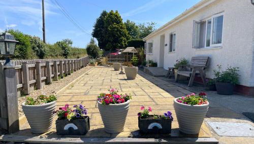 Caerhafod Llangrannog - Foto 1, Garden view
