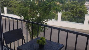 Green Passion - Photo 5