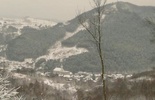 Domki na Polach Piwniczna-Zdrój - Foto 11