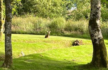 Cherry tree Lodge - Foto 13