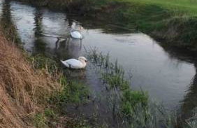 Thames Cottage, Old Mill Farm, Cotswold Water Park - Foto 12