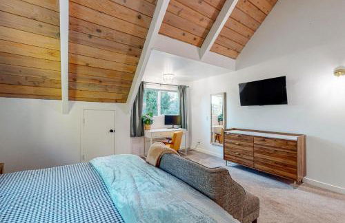 Saint Bernard Beauty - Foto 10