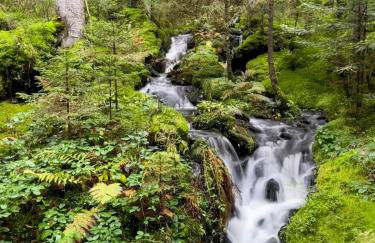 Ferienwohnung Osser Woid - Foto 32