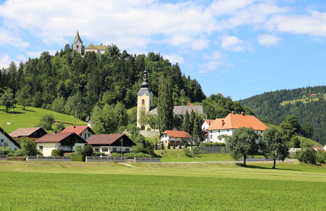 Chalet Podgorje With Pool - Foto 20