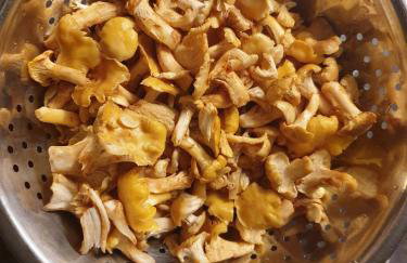 Studio apartment in Mali Losinj with terrace, air conditioning, WiFi, washing machine 4913-2 - Foto 16