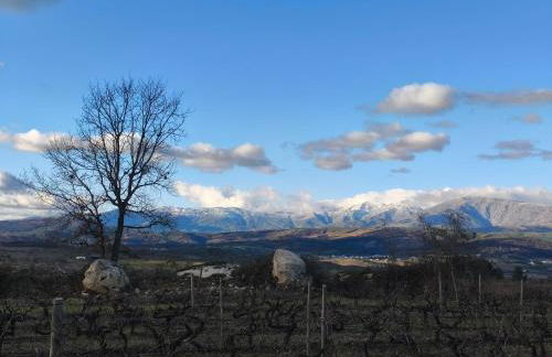 Orion Guesthouse Telhado - Foto 15