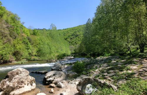 Le paradis des châtaigniers - Photo 13