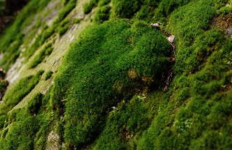 “Climber's Den” Rare Cliffside Stay w/ HotTub RRG - Foto 25