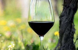 La Grande Suite du Château Saint-Laurent - Foto 11