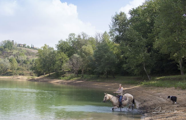 Castellare di Tonda Resort & Spa - Photo 44