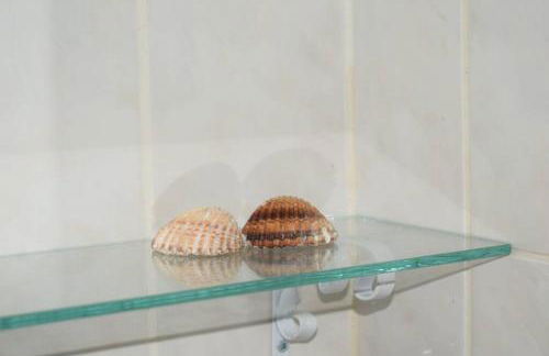 O DRAGOEIRO da Madalena! - Foto 23