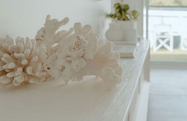 The Cove Jervis Bay - Photo 33