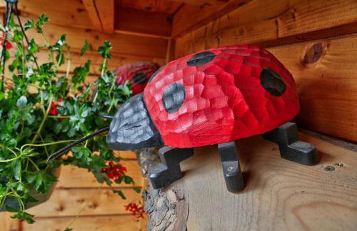 Les Chalets du Mazet Saint Voy - Foto 24