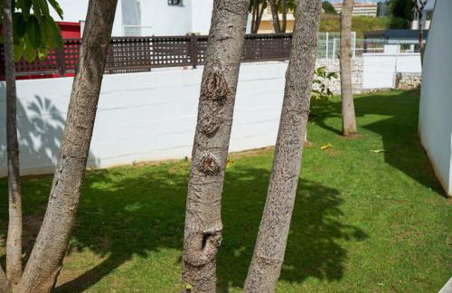 Casa Topacio, 3 bedrooms and 3 bathrooms in quiet street - Photo 46