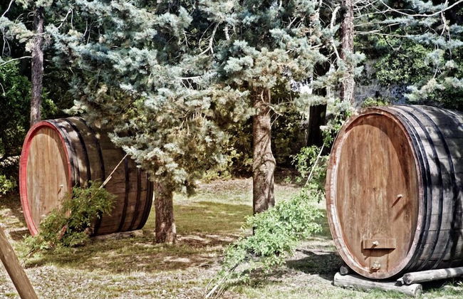 Montelucci Country Resort & Agriturismo di Charme - Foto 58