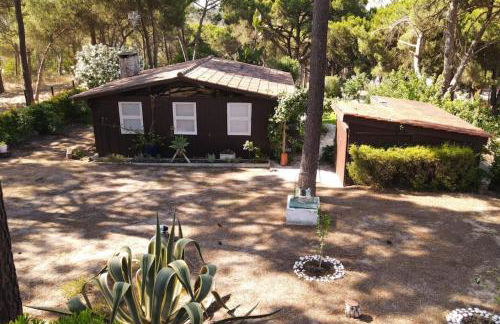 Casa da Lagoa - Foto 18