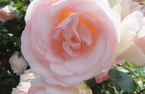 Casa Vacanze Santa Maria - Foto 28