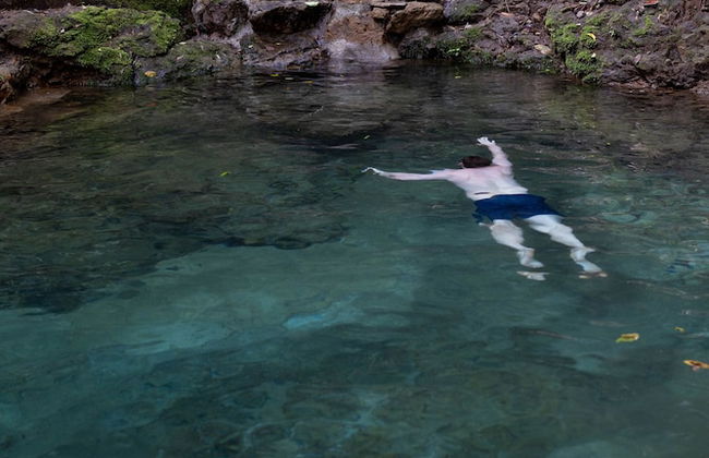 Cabañas Caeli Rainforest Glass Cabin El Congo La Fortuna - Foto 28